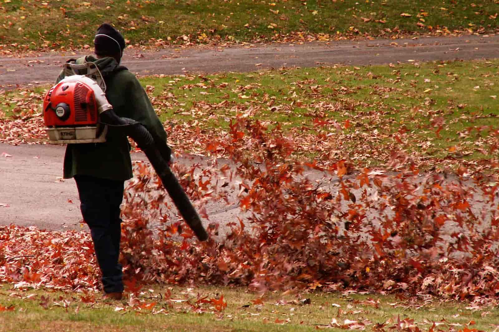 Leaf blower clearing autumn leaves from a path