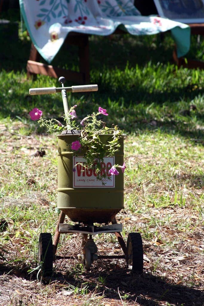 Fertilizer spreader on a green lawn