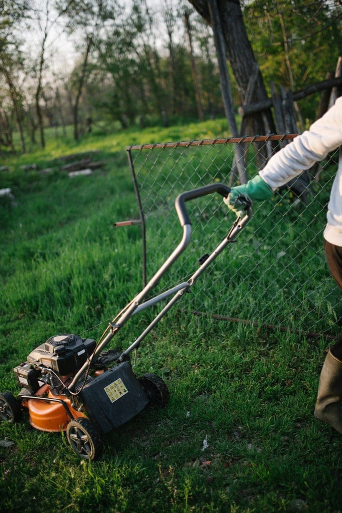 Push mower cutting a green suburban lawn